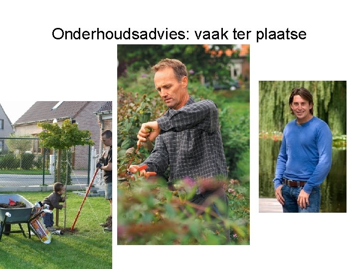 Onderhoudsadvies: vaak ter plaatse 