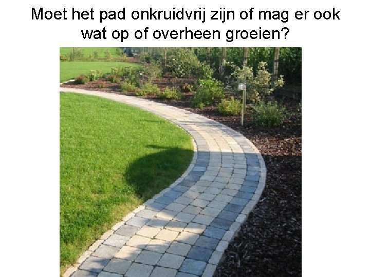 Moet het pad onkruidvrij zijn of mag er ook wat op of overheen groeien?