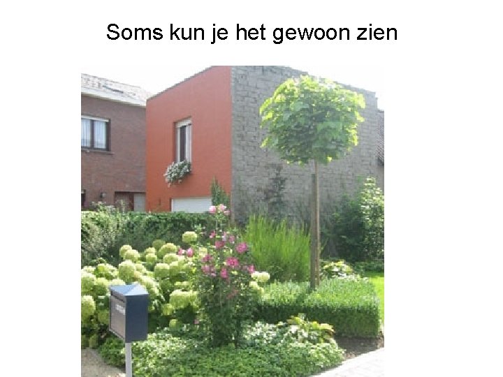 Soms kun je het gewoon zien 