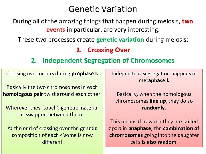 Genetic Variation During all of the amazing things that happen during meiosis, two events