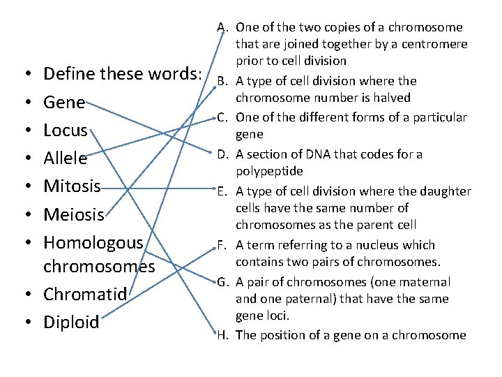 Define these words: Gene Locus Allele Mitosis Meiosis Homologous chromosomes • Chromatid • Diploid