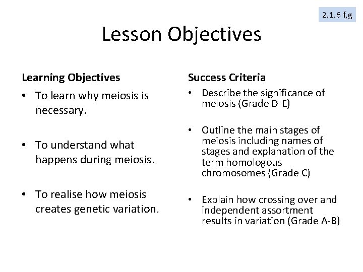Lesson Objectives 2. 1. 6 f, g Learning Objectives Success Criteria • To learn