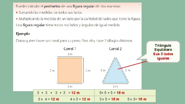 Triángulo Equilátero Sus 3 lados iguales 3 + 3 + 3 = 12 m