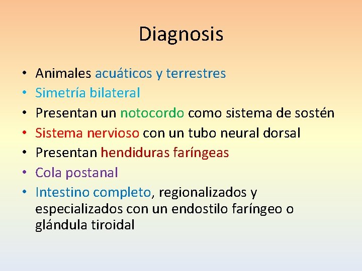 Diagnosis • • Animales acuáticos y terrestres Simetría bilateral Presentan un notocordo como sistema