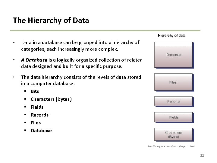 The Hierarchy of Data • Data in a database can be grouped into a