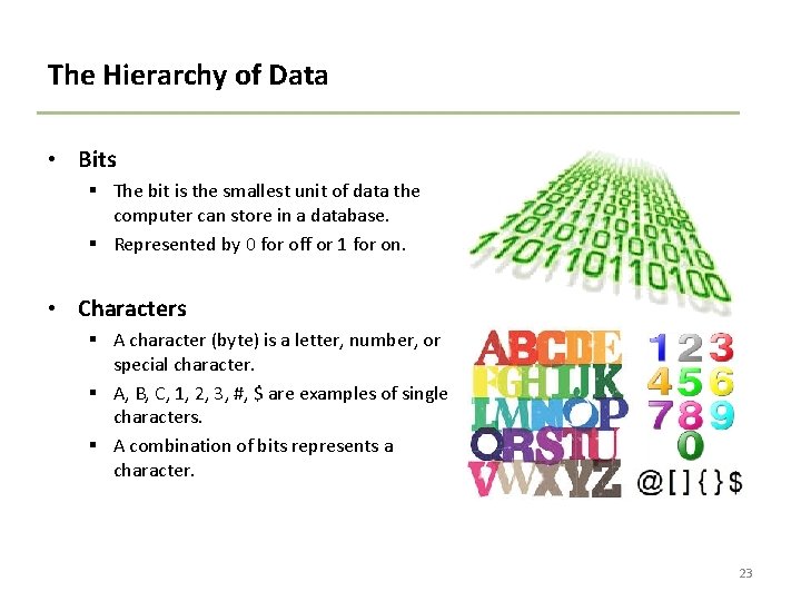 The Hierarchy of Data • Bits § The bit is the smallest unit of