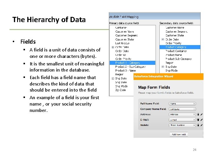 The Hierarchy of Data • Fields § A field is a unit of data