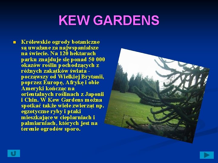 KEW GARDENS n Królewskie ogrody botaniczne są uważane za najwspanialsze na świecie. Na 120