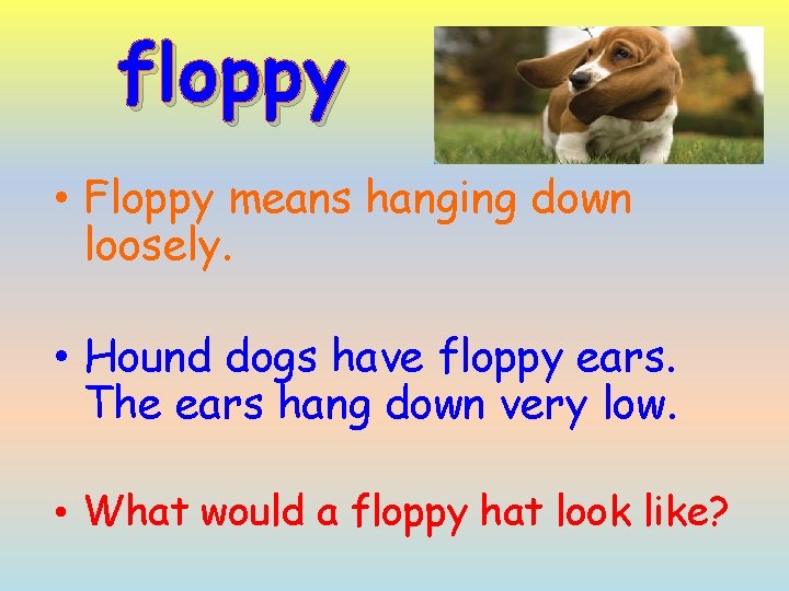 floppy • Floppy means hanging down loosely. • Hound dogs have floppy ears. The