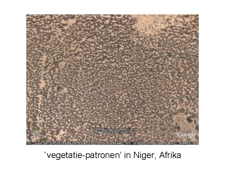 `vegetatie-patronen’ in Niger, Afrika 