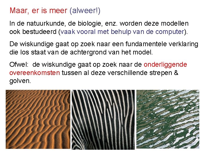 Maar, er is meer (alweer!) In de natuurkunde, de biologie, enz. worden deze modellen