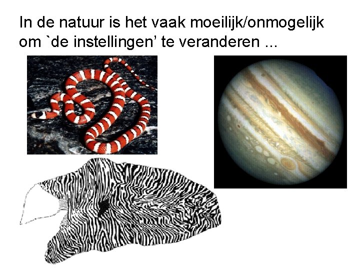 In de natuur is het vaak moeilijk/onmogelijk om `de instellingen’ te veranderen. . .