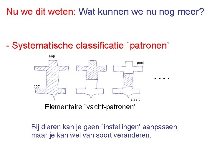 Nu we dit weten: Wat kunnen we nu nog meer? - Systematische classificatie `patronen’