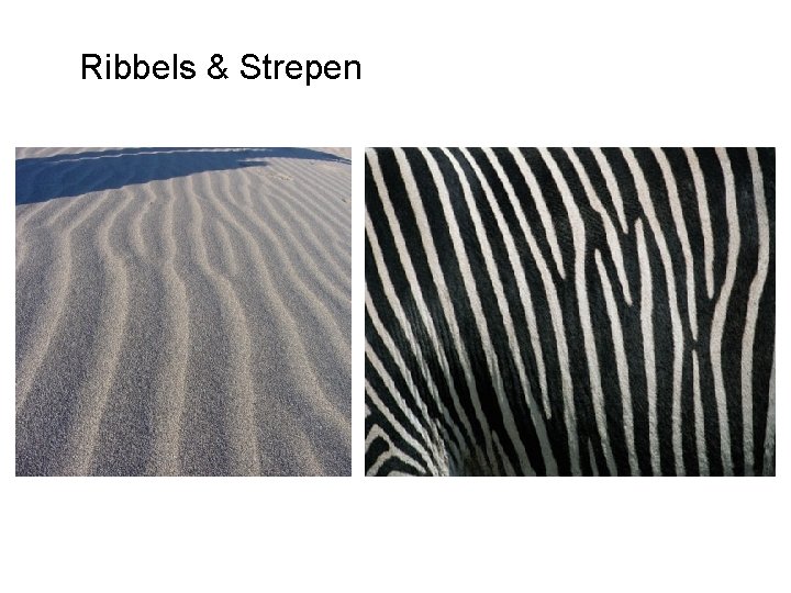 Ribbels & Strepen 