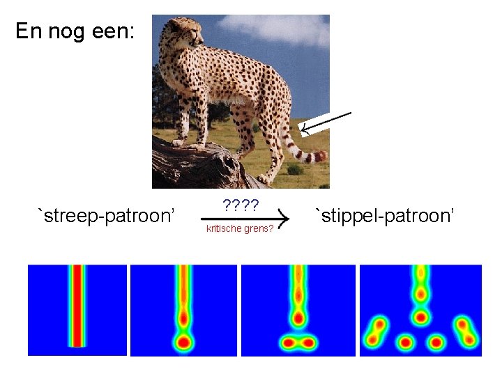 En nog een: `streep-patroon’ ? ? kritische grens? `stippel-patroon’ 