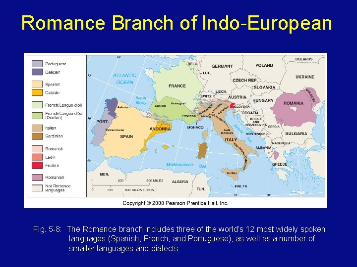 Romance Branch of Indo-European Fig. 5 -8: The Romance branch includes three of the