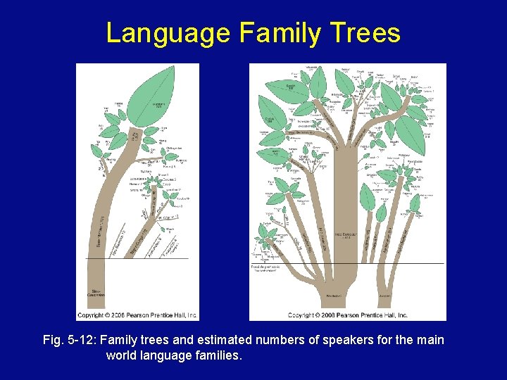 Language Family Trees Fig. 5 -12: Family trees and estimated numbers of speakers for