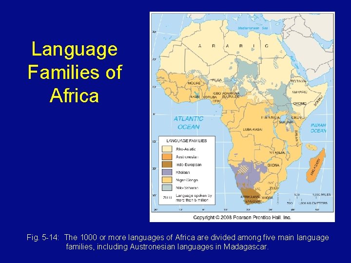 Language Families of Africa Fig. 5 -14: The 1000 or more languages of Africa
