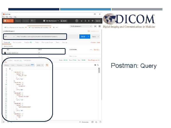Postman: Query 