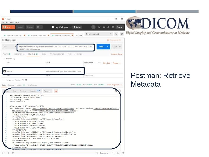 Postman: Retrieve Metadata 