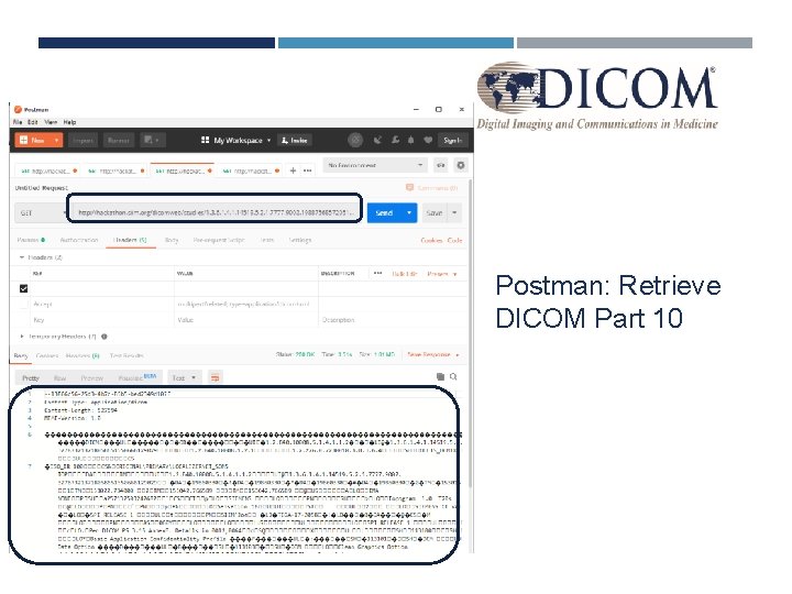 Postman: Retrieve DICOM Part 10 