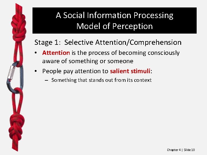 A Social Information Processing Model of Perception Stage 1: Selective Attention/Comprehension • Attention is