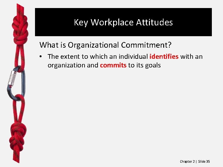 Key Workplace Attitudes What is Organizational Commitment? • The extent to which an individual