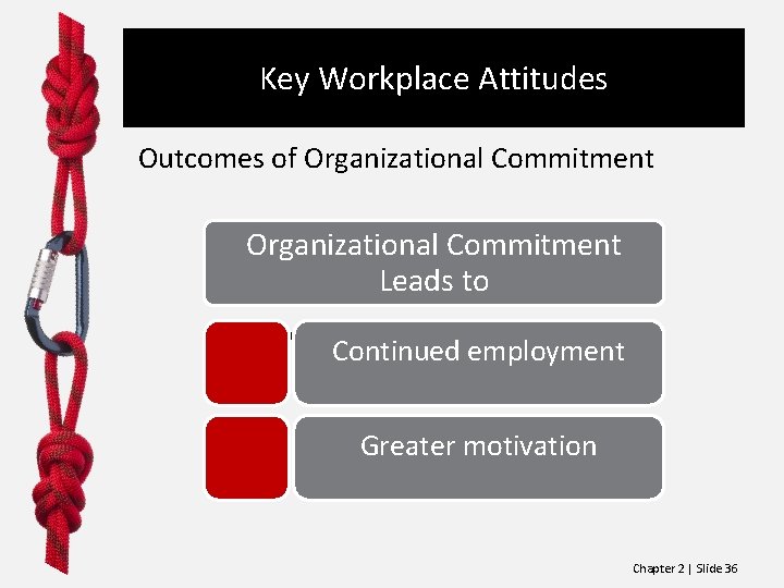 Key Workplace Attitudes Outcomes of Organizational Commitment Leads to Organizational Commitment Continued employment Greater