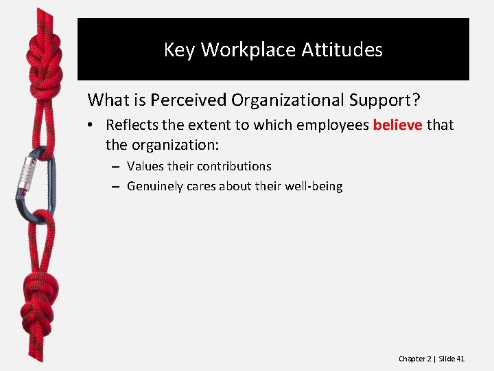 Key Workplace Attitudes What is Perceived Organizational Support? • Reflects the extent to which