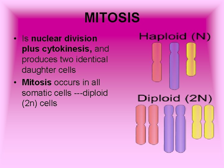 MITOSIS • Is nuclear division plus cytokinesis, and produces two identical daughter cells •