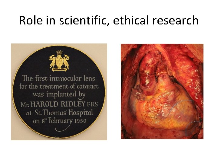 Role in scientific, ethical research 