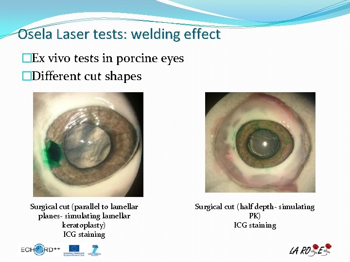 Osela Laser tests: welding effect �Ex vivo tests in porcine eyes �Different cut shapes