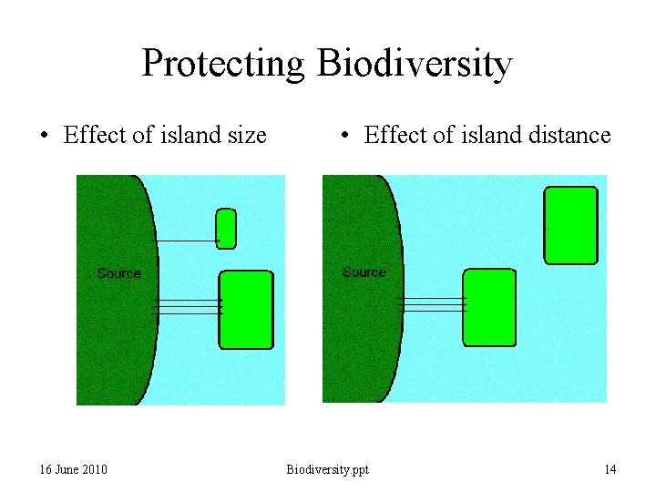 Protecting Biodiversity • Effect of island size 16 June 2010 • Effect of island