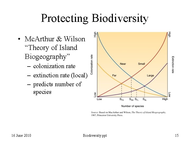 Protecting Biodiversity • Mc. Arthur & Wilson “Theory of Island Biogeography” – colonization rate Protecting Biodiversity • Mc. Arthur & Wilson “Theory of Island Biogeography” – colonization rate