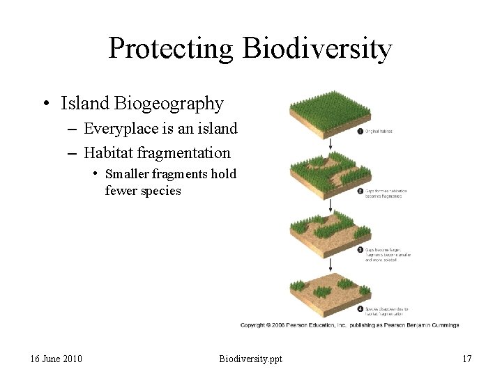 Protecting Biodiversity • Island Biogeography – Everyplace is an island – Habitat fragmentation • Protecting Biodiversity • Island Biogeography – Everyplace is an island – Habitat fragmentation •