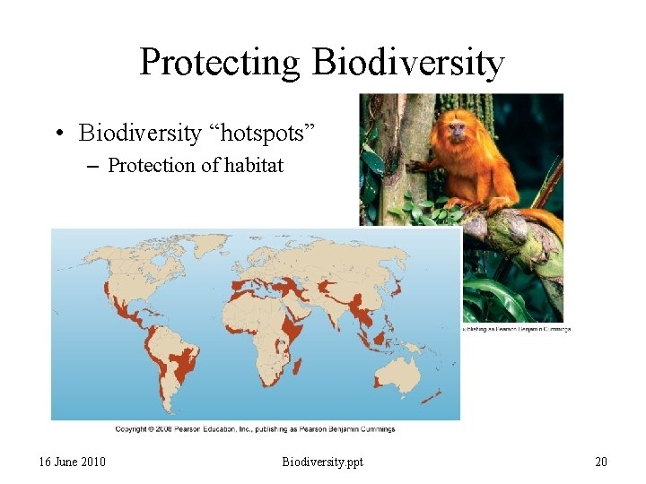 Protecting Biodiversity • Biodiversity “hotspots” – Protection of habitat 16 June 2010 Biodiversity. ppt Protecting Biodiversity • Biodiversity “hotspots” – Protection of habitat 16 June 2010 Biodiversity. ppt