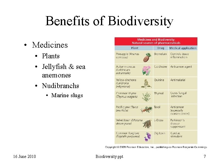 Benefits of Biodiversity • Medicines • Plants • Jellyfish & sea anemones • Nudibranchs Benefits of Biodiversity • Medicines • Plants • Jellyfish & sea anemones • Nudibranchs