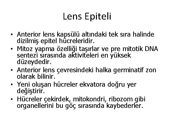 Lens Epiteli • Anterior lens kapsülü altındaki tek sıra halinde dizilmiş epitel hücreleridir. •