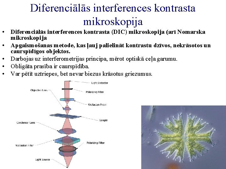 Diferenciālās interferences kontrasta mikroskopija • Diferenciālās interferences kontrasta (DIC) mikroskopija (arī Nomarska mikroskopija •