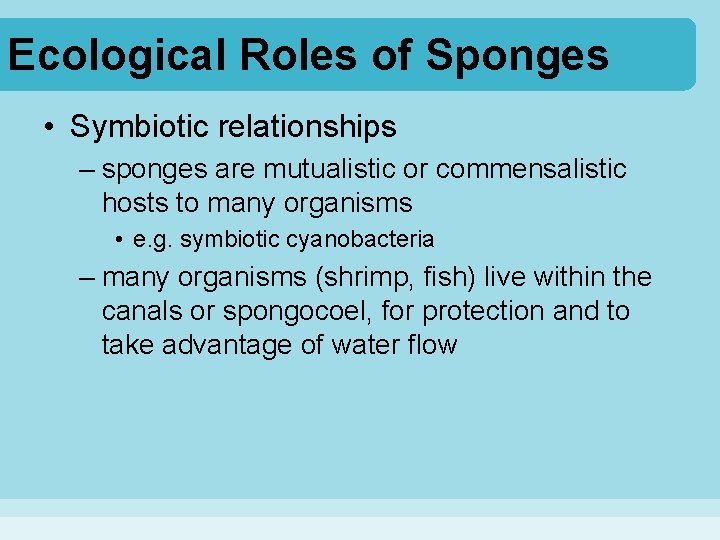 Ecological Roles of Sponges • Symbiotic relationships – sponges are mutualistic or commensalistic hosts Ecological Roles of Sponges • Symbiotic relationships – sponges are mutualistic or commensalistic hosts
