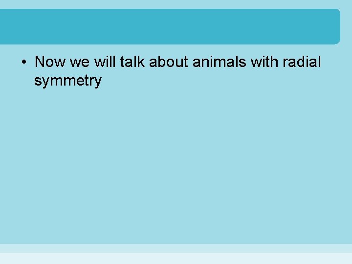 • Now we will talk about animals with radial symmetry • Now we will talk about animals with radial symmetry
