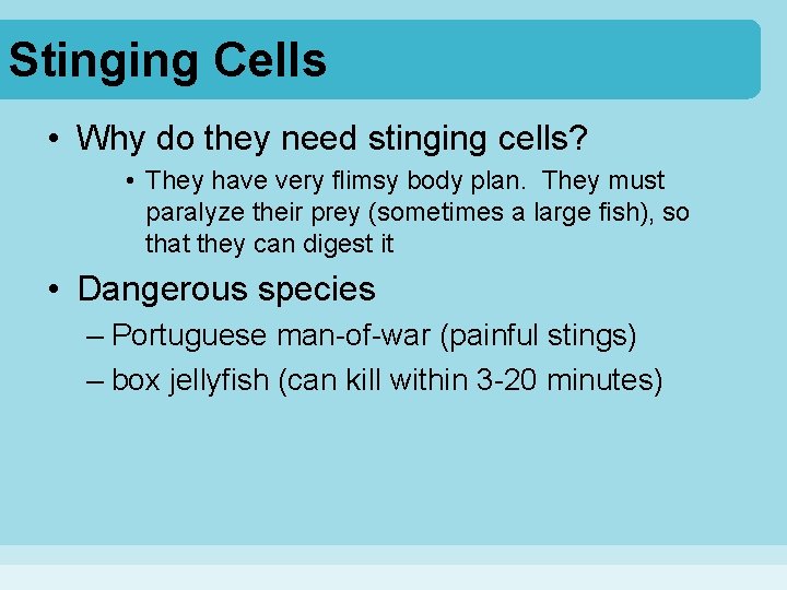 Stinging Cells • Why do they need stinging cells? • They have very flimsy Stinging Cells • Why do they need stinging cells? • They have very flimsy