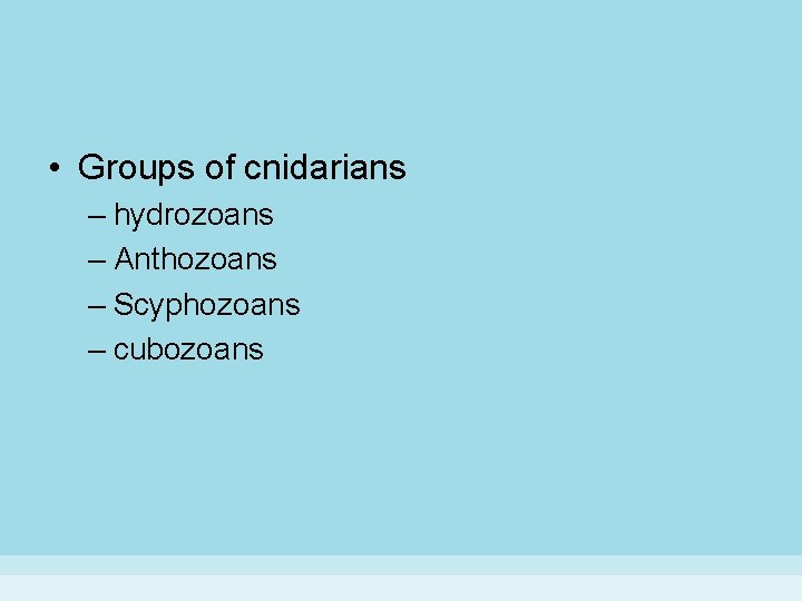  • Groups of cnidarians – hydrozoans – Anthozoans – Scyphozoans – cubozoans 