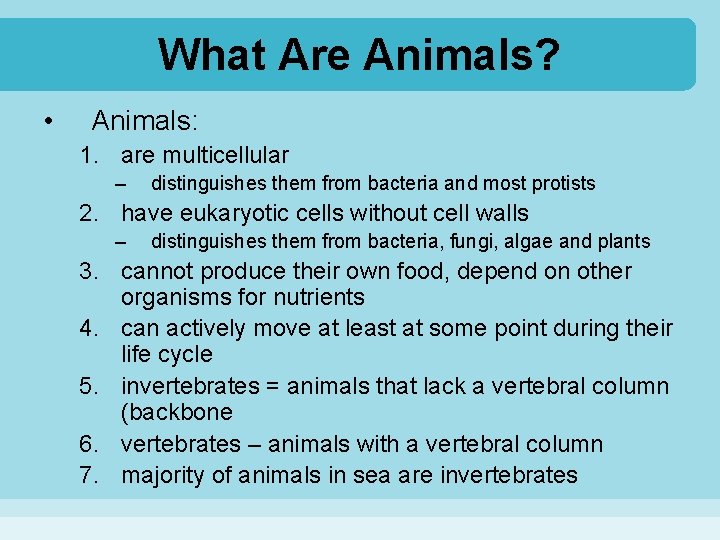 What Are Animals? • Animals: 1. are multicellular – distinguishes them from bacteria and
