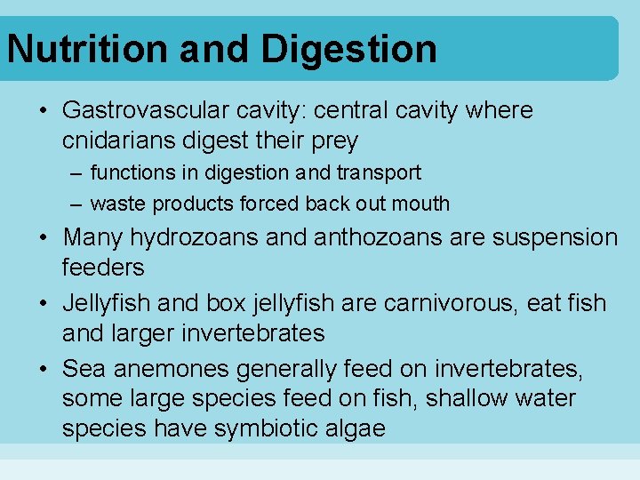 Nutrition and Digestion • Gastrovascular cavity: central cavity where cnidarians digest their prey – Nutrition and Digestion • Gastrovascular cavity: central cavity where cnidarians digest their prey –