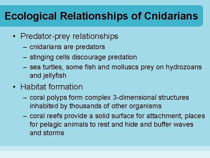 Ecological Relationships of Cnidarians • Predator-prey relationships – cnidarians are predators – stinging cells Ecological Relationships of Cnidarians • Predator-prey relationships – cnidarians are predators – stinging cells