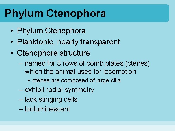 Phylum Ctenophora • Planktonic, nearly transparent • Ctenophore structure – named for 8 rows Phylum Ctenophora • Planktonic, nearly transparent • Ctenophore structure – named for 8 rows