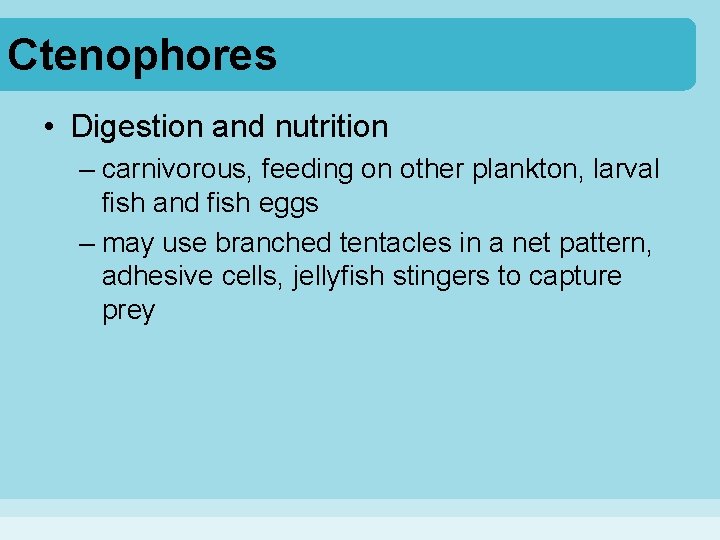 Ctenophores • Digestion and nutrition – carnivorous, feeding on other plankton, larval fish and