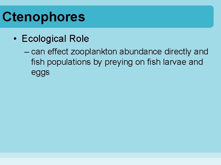 Ctenophores • Ecological Role – can effect zooplankton abundance directly and fish populations by