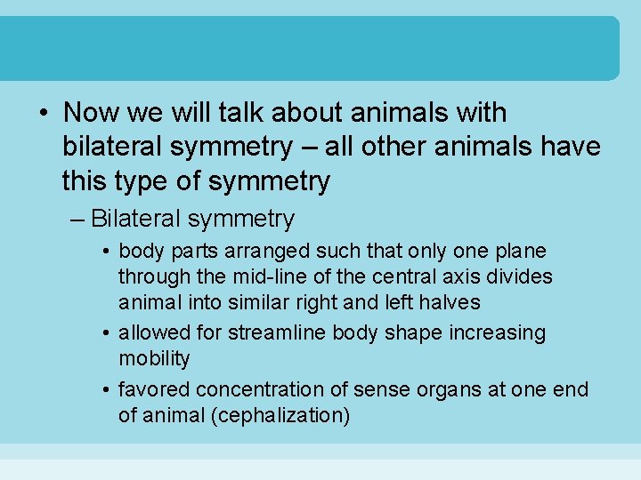 • Now we will talk about animals with bilateral symmetry – all other • Now we will talk about animals with bilateral symmetry – all other